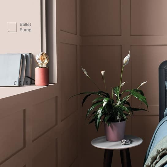 Ballet Pump - Dulux Paint Colour - Dulux Soft Sheen Finish