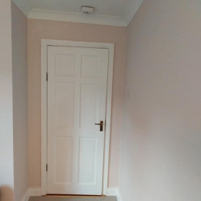 Ballet Pump - Dulux Paint Colour - Dulux Soft Sheen Finish