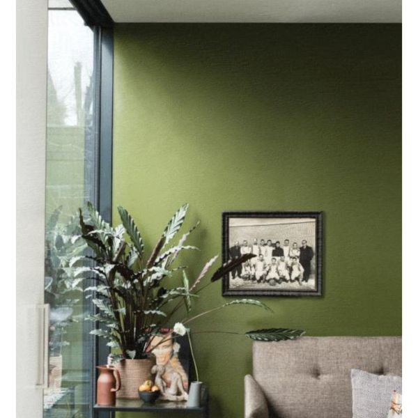 Farrow & Ball- Bancha - Green Paint Colour - Paint Online Ireland