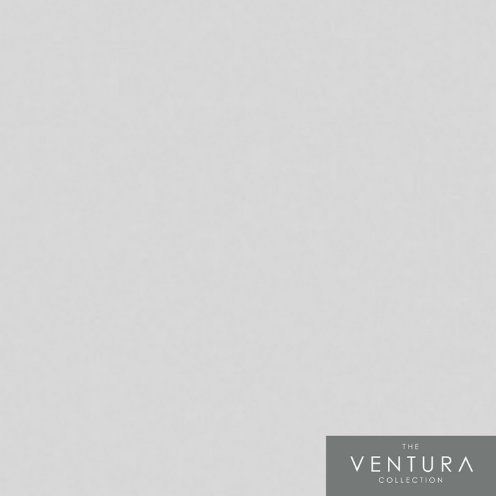 Bichon - Ventura Design Paint Colour - Fleetwood Paints - Paint Online