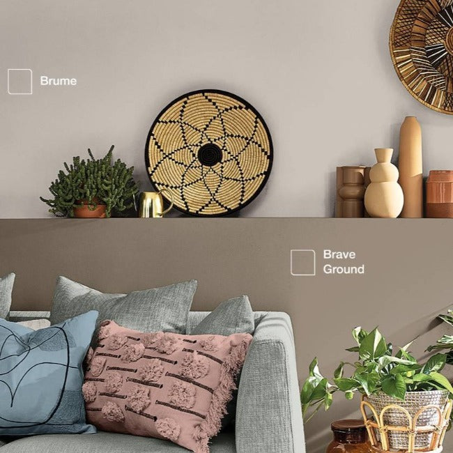 Brave Ground - Dulux Paint Colour - Dulux Easycare Washable Matt