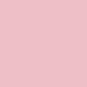 Bridal Pink Fleetwood Paints - Popular Colours Collection by Paint Online