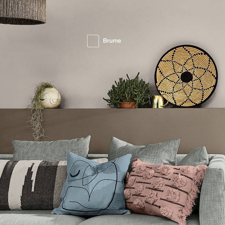 Brume - Dulux Easycare Paint Colour