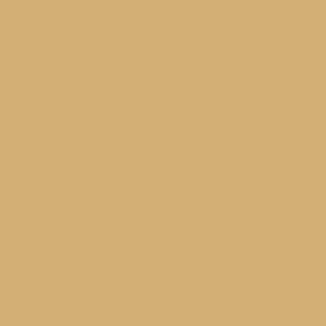 Butter Cookie-Fleetwood Paints - Popular Colours Collection by Paint Online