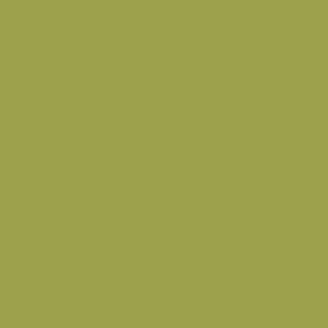 Chartreuse Fleetwood Paints - Popular Colours Collection by Paint Online