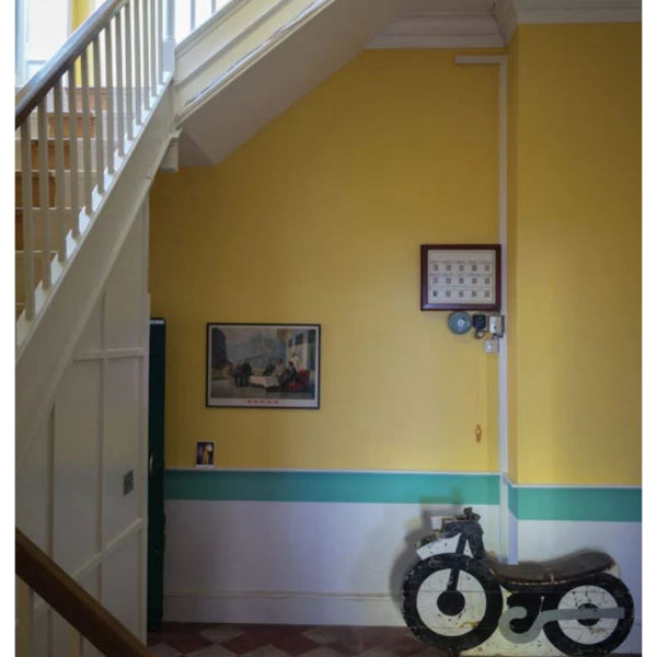 Citron Farrow & Ball - Yellow Paint Colour - Paint Online