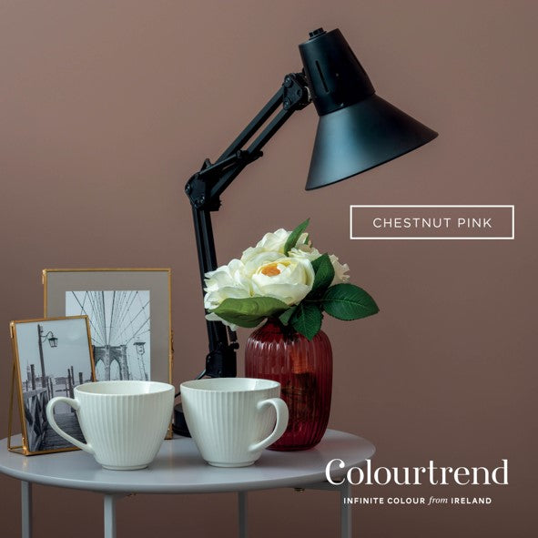 Chestnut Pink Colourtrend Contemporary Paint