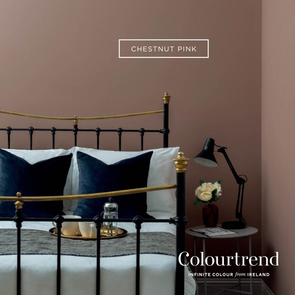 Chestnut Pink Colourtrend Contemporary Paint