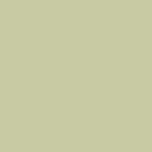 Scullery Green - Colourtrend Paint