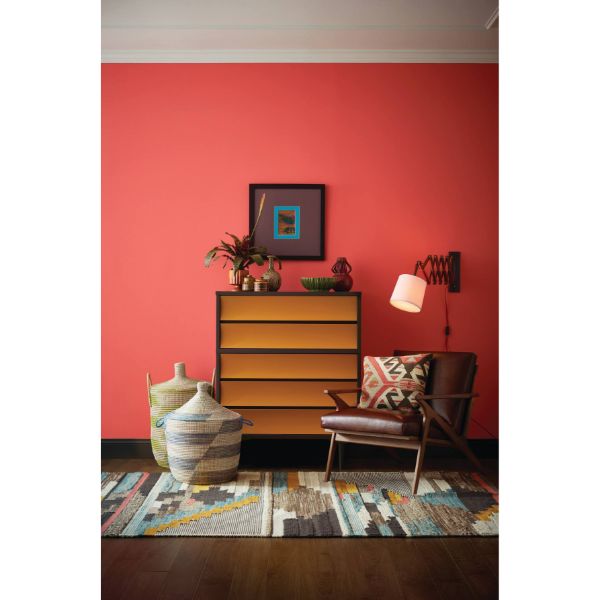 Coral Cove-Fleetwood-Paints-Paint-Online