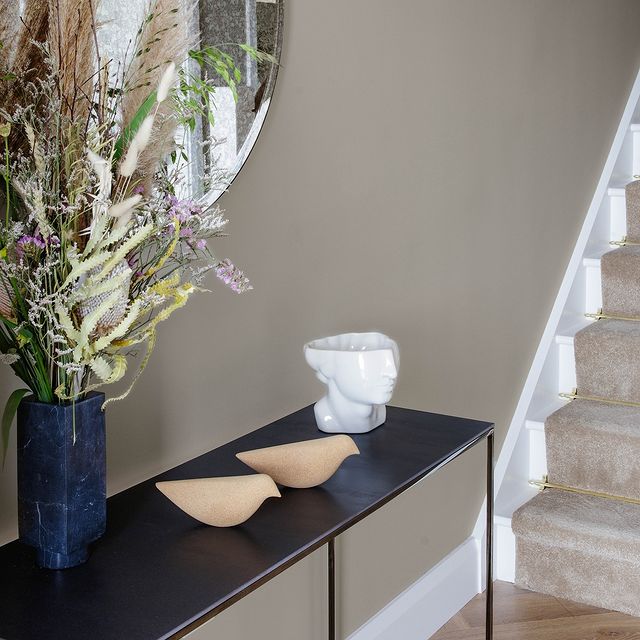 Covert Feather Colourtrend Contemporary Paint Collection