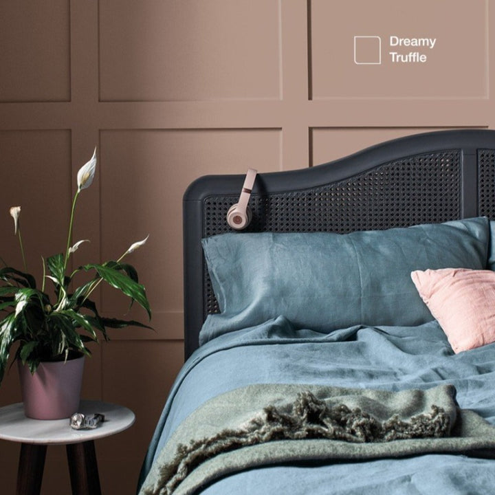 Dreamy Truffle -Dulux Easycare Paint Colour
