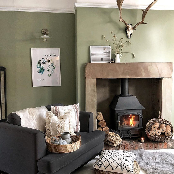 Farrow & Ball Lichen No. 19 - Farrow and Ball paint colour - Green Living Room Paint Colour - Paint Online Ireland
