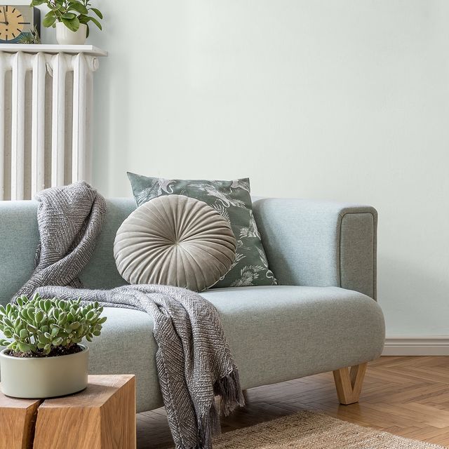 Earnest Colourtrend Contemporary Paint Collection