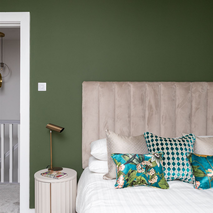 Electric Pickle - Fleetwood Paint Colour - Buy Paint Online
