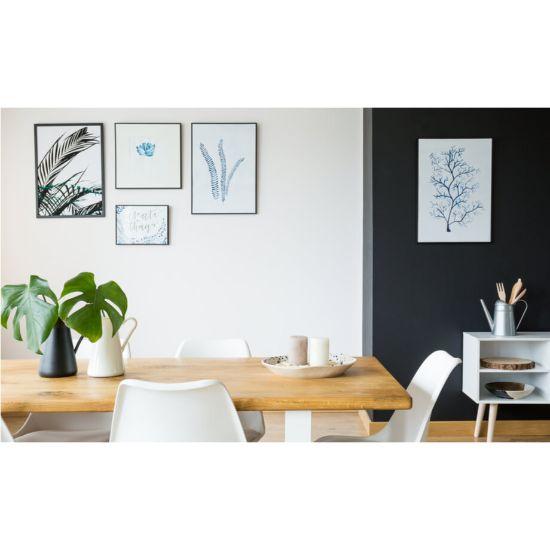 Star White Pantone Collection by Fleetwood Paints from Paint Online