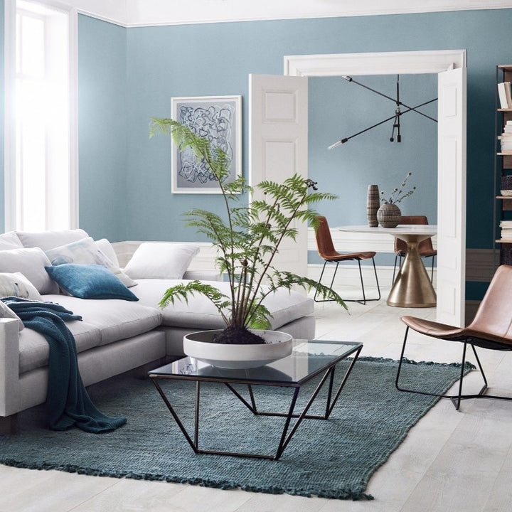 Forget Me Not - Fleetwood Paints