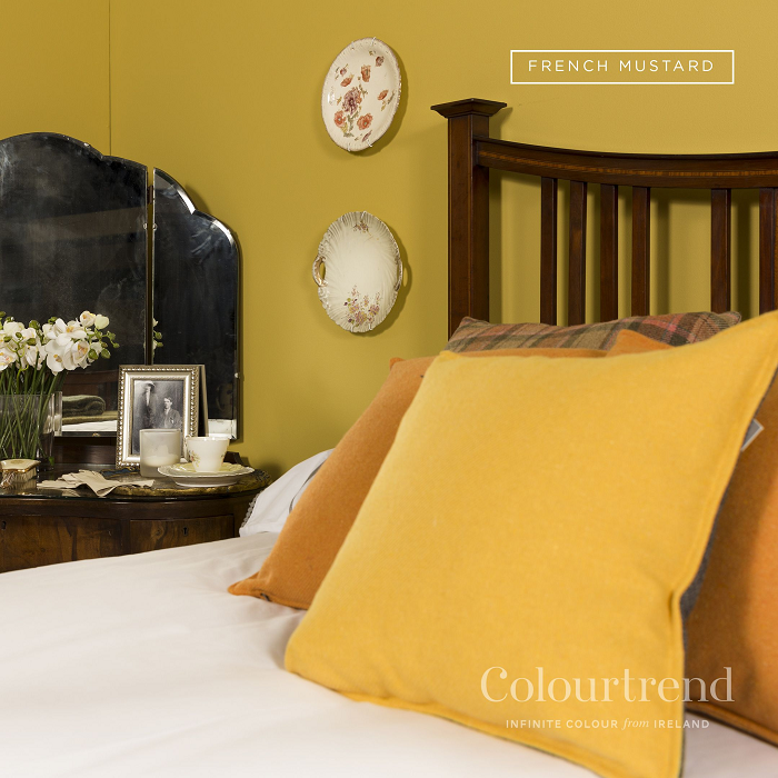 French Mustard Colourtrend Paint Historic Collection