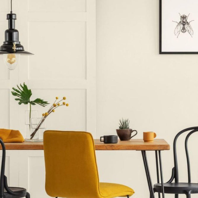 French White Colourtrend Paint from Paint Online