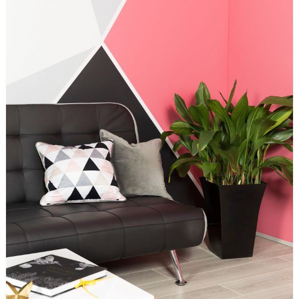 Fruit Crumble Colourtrend Paint from Paint Online