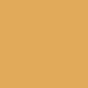 Golden Apricot Pantone Colours Fleetwood Paint