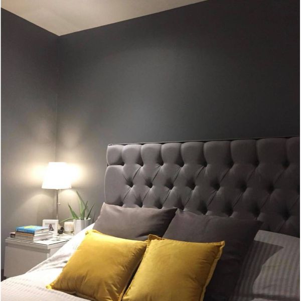Grey Wolf Colourtrend Paint from Paint Online