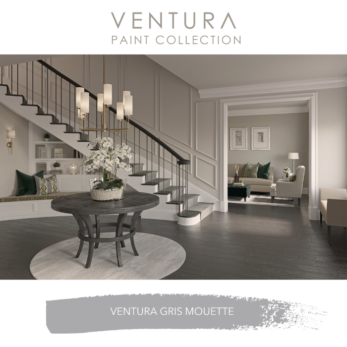 Gris Mouette - Ventura Design Paint Colours - Fleetwood Paints Prestige - Paint Online