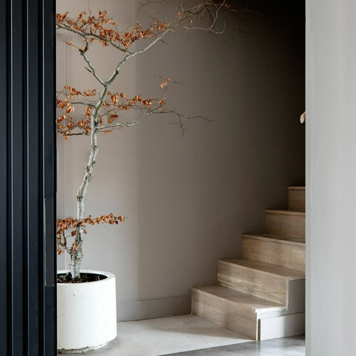 Hepburn - Taupe Paint Colour - Fleetwood Paints - Paint Online Ireland