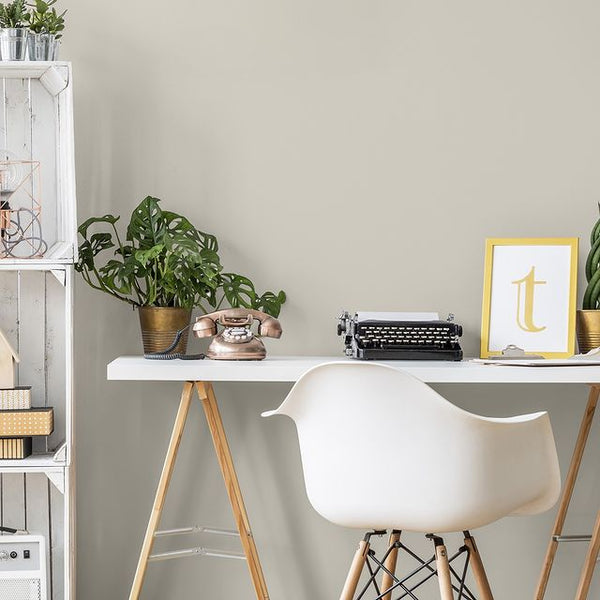 Kittiwake from the Colourtrend Contemporary Paint Collection