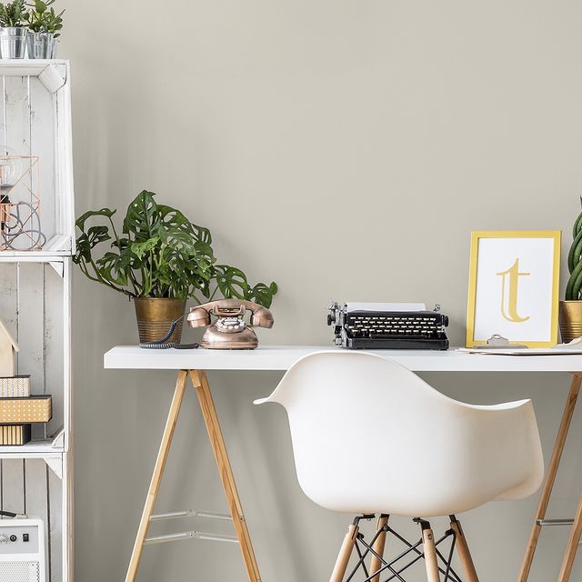 Kittiwake from the Colourtrend Contemporary Paint Collection