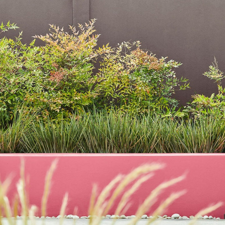 Little Greene Carmine No. 189 is a dusky pink paint colour. Pink exterior wall paint colour. Buy Little Greene paint online.