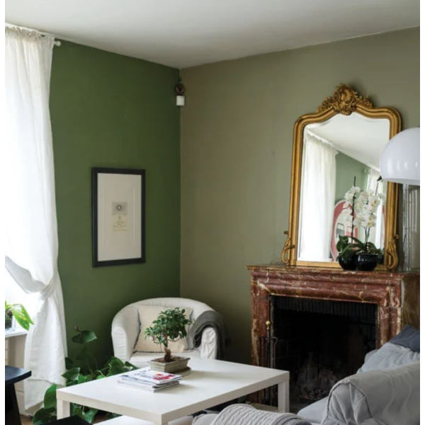 Farrow & Ball Lichen No. 19 - Farrow and Ball paint colour - Green Living Room Paint Colour - Paint Online Ireland