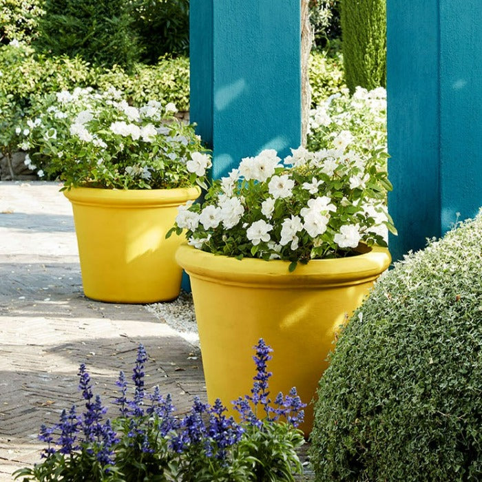 Little Green Mister David No. 47 Exterior Paint Colour. A timeless yellow paint colour. Order Little Greene paint online in Ireland.