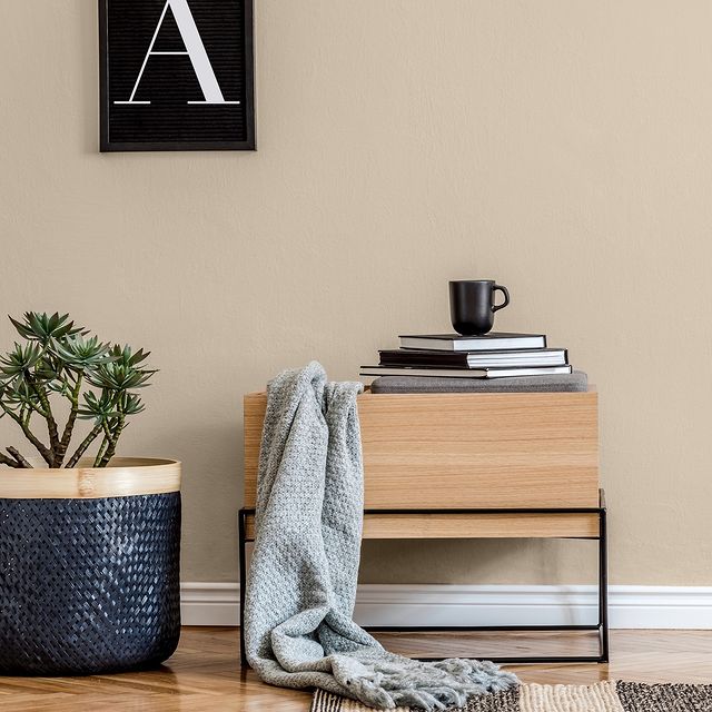 Minimal Colourtrend Contemporary Paint Collection