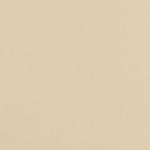 Nude Bisque - Colourtrend Paint - Historic Collection