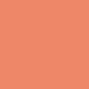 Orange Blossum Fleetwood Paints - Popular Colours Collection by Paint Online