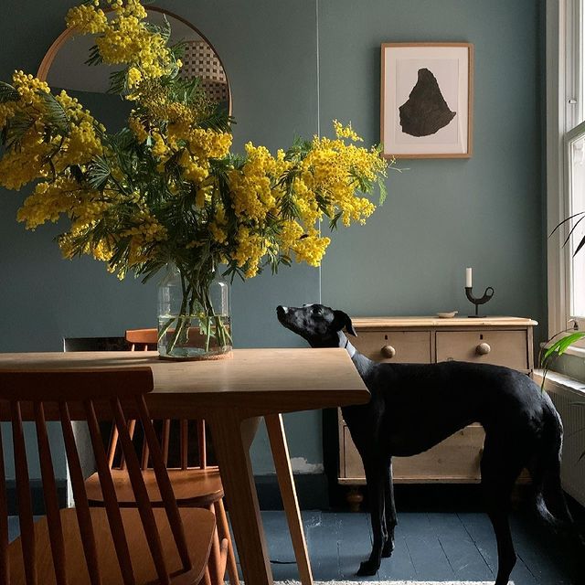 Farrow & Ball Oval Room Blue No. 85 - Living Room Paint Colour - Paint Online Ireland