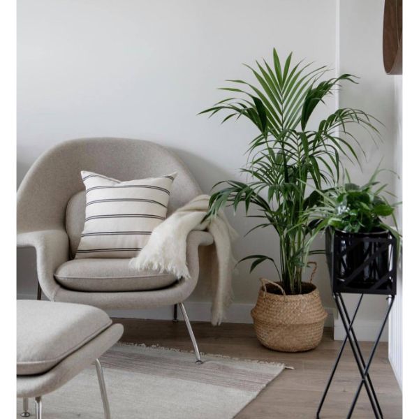 Oyster Bed Colourtrend Paint from Paint Online