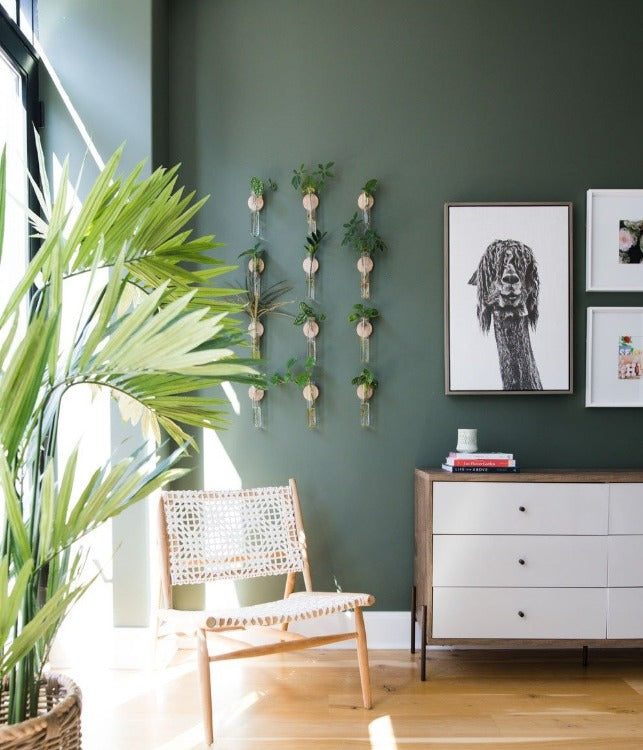 Mistletoe Fleetwood Paints - Popular Colours Collection by Paint Online