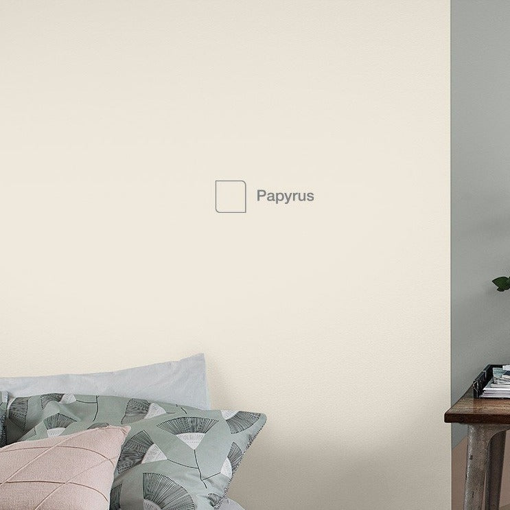 Papyrus - Dulux Paint Colour – Paint Online