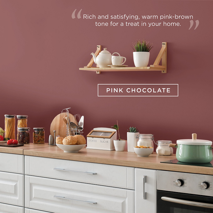 Pink Chocolate - Colourtrend Paint Colour - Buy Paint Online