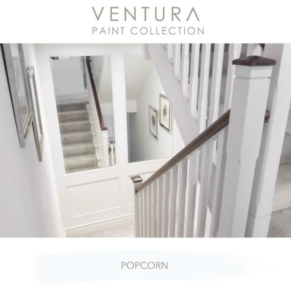 Popcorn by Ventura Design - Ventura Collection - Fleetwood Paints - Paint Online Ireland