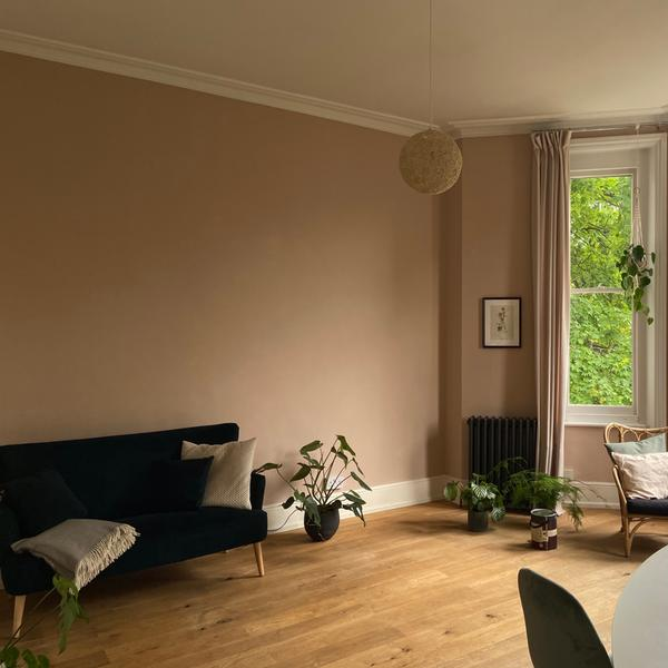 Potted Shrimp Farrow & Ball Paint Colour - Archive Collection - Buy Paint Online in Ireland