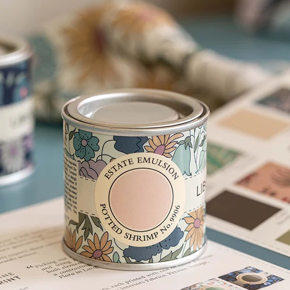 Potted Shrimp Farrow & Ball Paint Colour - Archive Collection - Buy Paint Online in Ireland