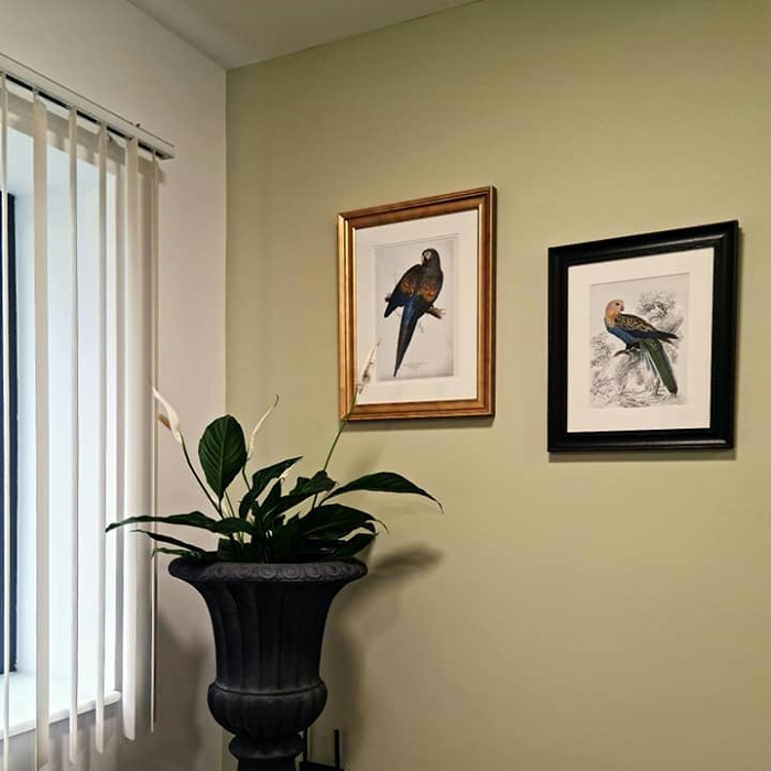 Scullery Green - Colourtrend Paint - Historic