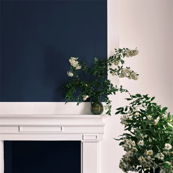 Serge - Farrow & Ball Paint - Archive Collection - Buy Farrow & Ball Paint Online in Ireland
