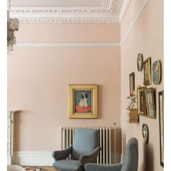 Setting Plaster No. 231 Farrow & Ball Paint Colour - Living Room Paint Colour - Paint Online Ireland