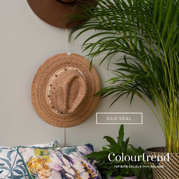 Silk Seal Colourtrend Paint from Paint Online