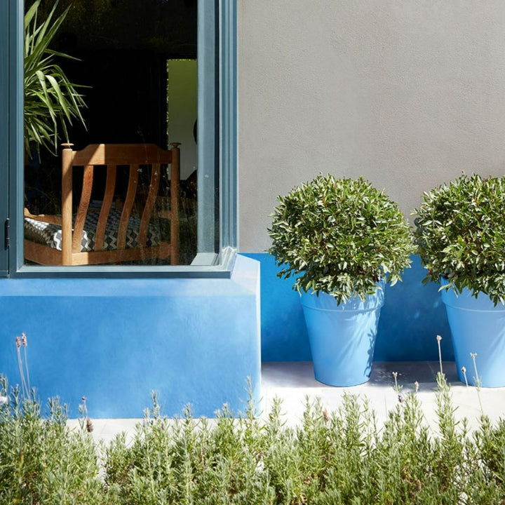 Little Greene Tivoli No. 206 is a beautiful blue paint colour. Tivoli 206 is a luxury deep sky blue colour. Buy Little Greene Tivoli exterior paint online.