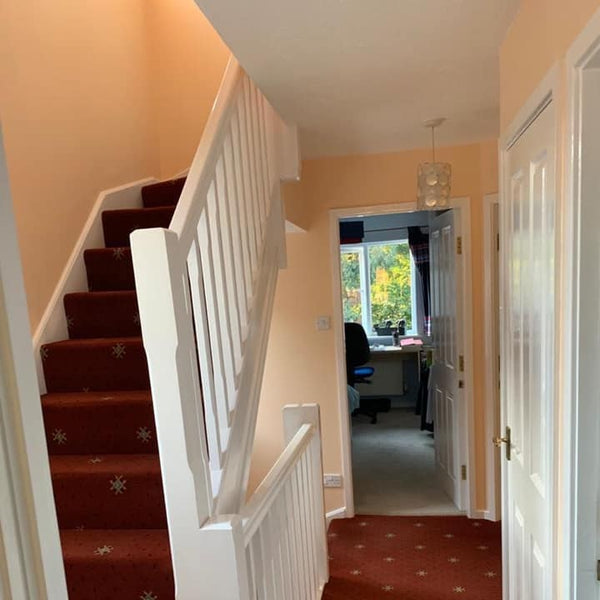 Soft Peach - Dulux Paint Colour - Dulux Soft Sheen - Buy Paint Online